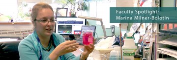 Faculty Spotlight: Marina Milner-Bolotin